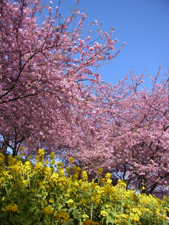20130309 011.jpg