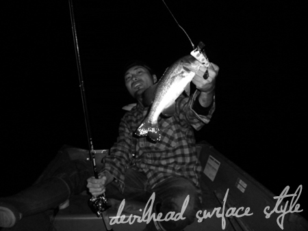 20101014 003.jpg