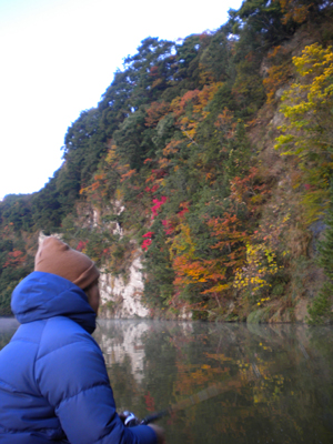 20101125 002.jpg