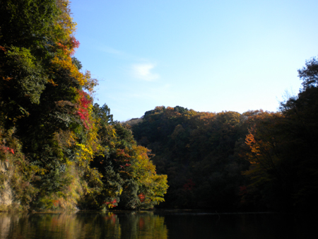 20101125 006.jpg
