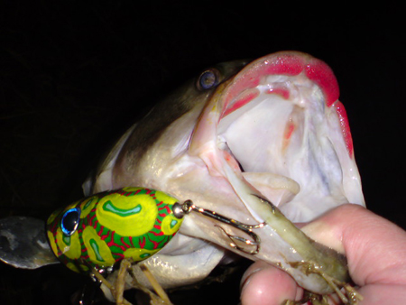 20110320194439.jpg
