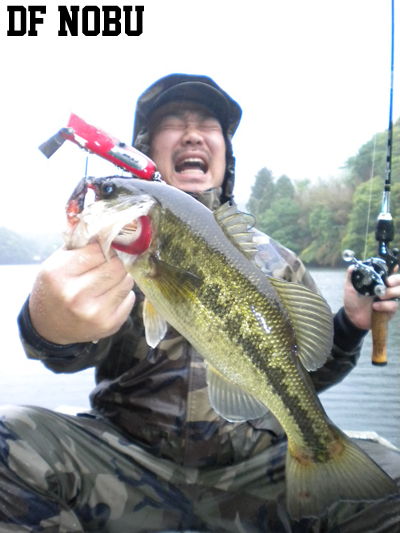 20110512 007.jpg