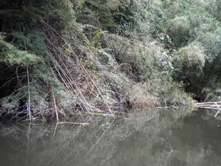 20111110 010.jpg