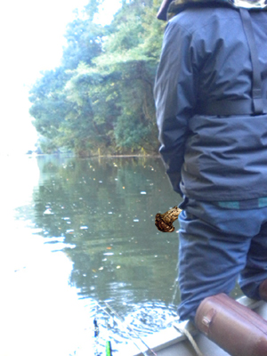 20111117 005.jpg