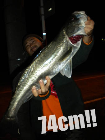 20111117 023.jpg