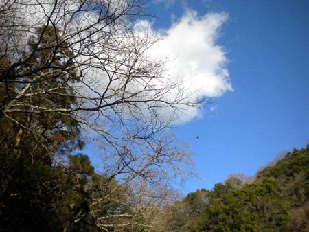 20120208 005.jpg