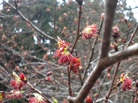 20120322 002.jpg