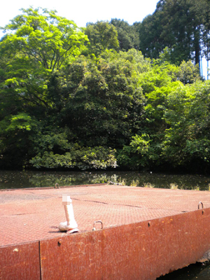 20120517 009.jpg