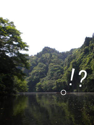 20120517 011.jpg