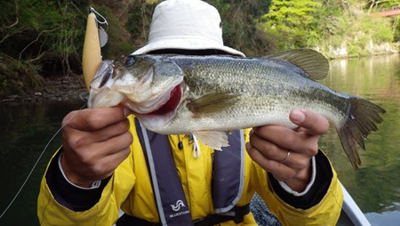 20130407_443275.jpg
