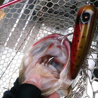 2014.03.20-3.jpg