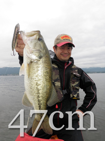 47cm-A.jpg