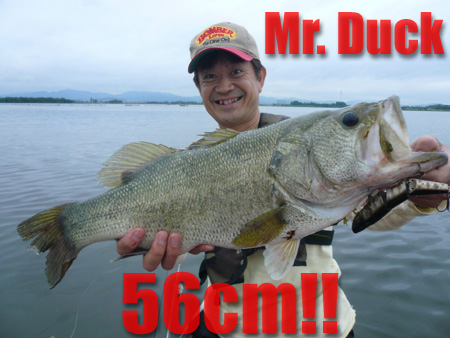 56cm-B.jpg
