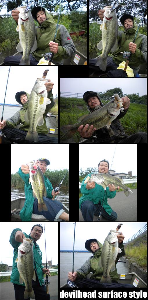 8-Low 2011 001.jpg