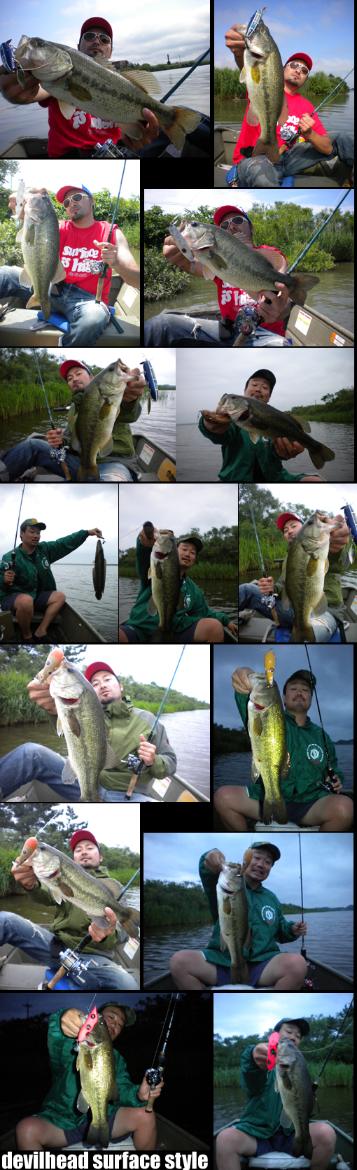 8-Low 2011 012.jpg