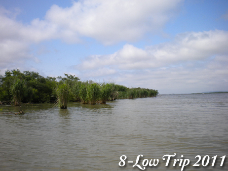 8-Low 2011 014.jpg