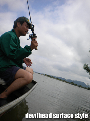 8-Low 2011 018.jpg