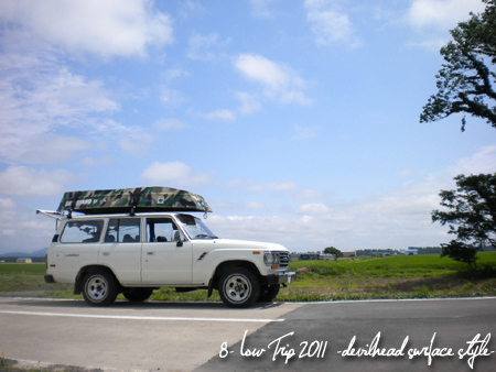 8-Low 2011 021.jpg