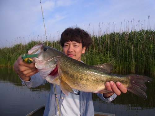 8-Low 2015 002.jpg