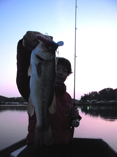 8-Low 2015 018.jpg