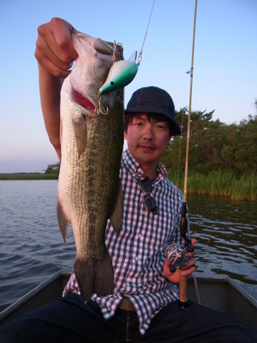8-Low 2015 034.jpg