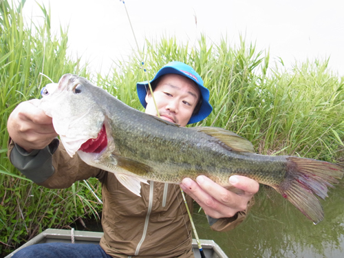 8-Low 2015 048.jpg