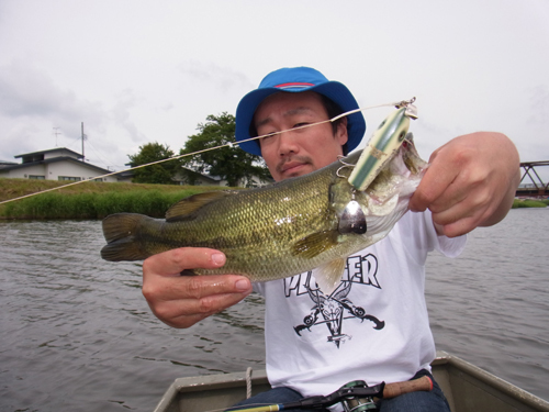 8-Low 2015 052.jpg