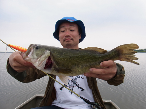 8-Low 2015 054.jpg