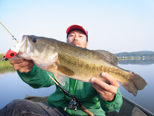 8-Low 2015 062.jpg