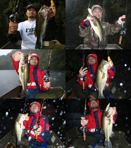 AutumnBASS.jpg