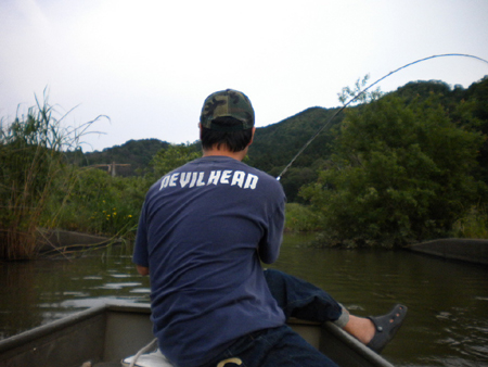 B2011 038.jpg