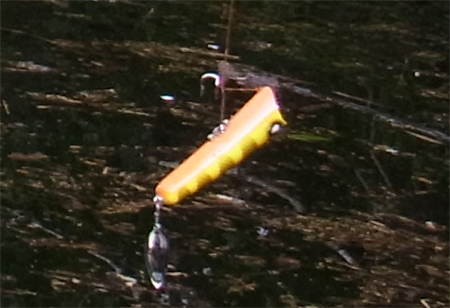 Df201303281.jpg