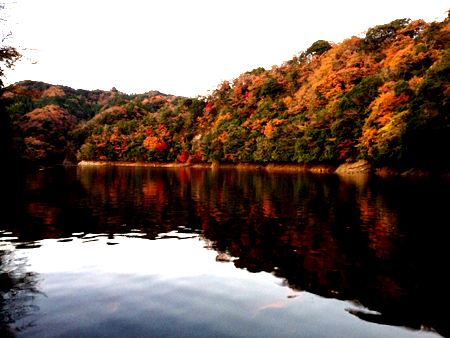 写真 2014-11-28 23 27 00.jpg