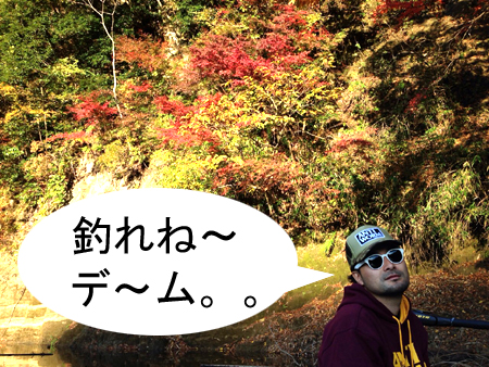 写真 2014-11-28 23 27 04.jpg