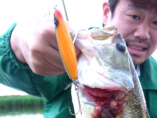 Fishing20150604 003.jpg