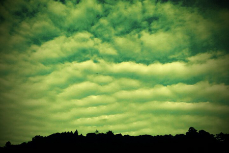 FxCam_1320907650648.jpg