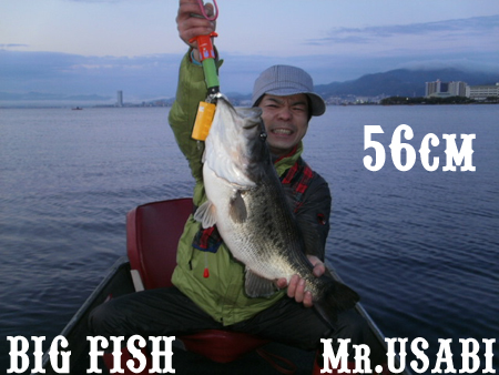 Mr.USABI.jpg