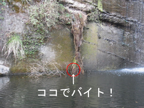 fishing2015.10.28 003.jpg