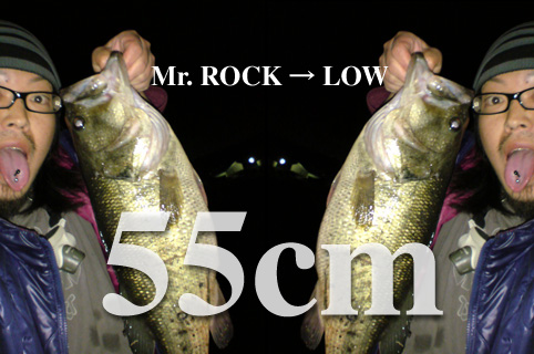 rock-low412.jpg