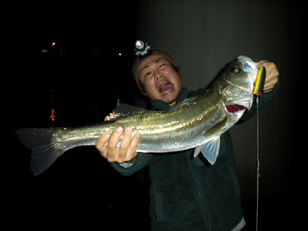 seabassDf 002.jpg